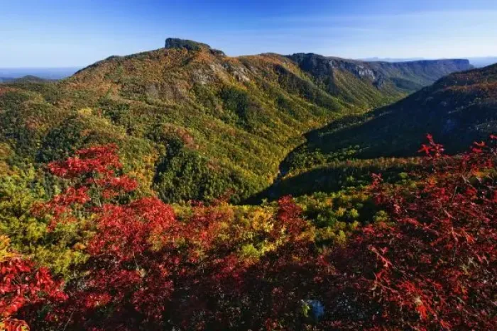 Framed Print : Autumn view of Linville Gorge often called the Grand Canyon of North Carolina, Pisgah Framed Print : Autumn view of Linville Gorge often called the Grand Canyon of North Carolina, Pisgah