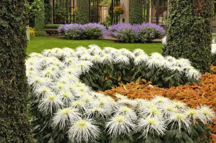 Framed Print : Autumn view of Longwood Gardens, Pennsylvania Framed Print : Autumn view of Longwood Gardens, Pennsylvania