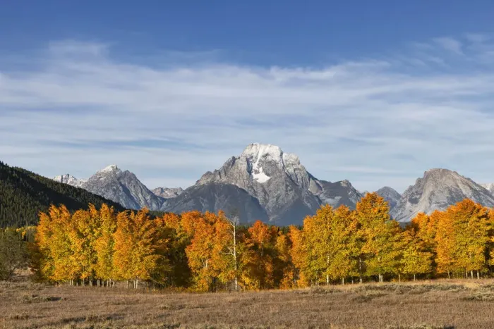 Framed Print : Autumn view of Mount Moran and Snake River, Grand Teton National Park, Wyoming