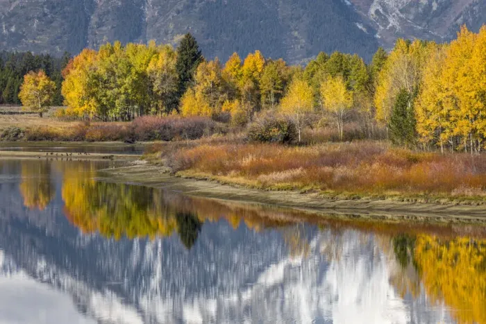 Framed Print : Autumn view of Mt. Morans reflection, Oxbow Bend, Grand Teton National Park, Wyoming