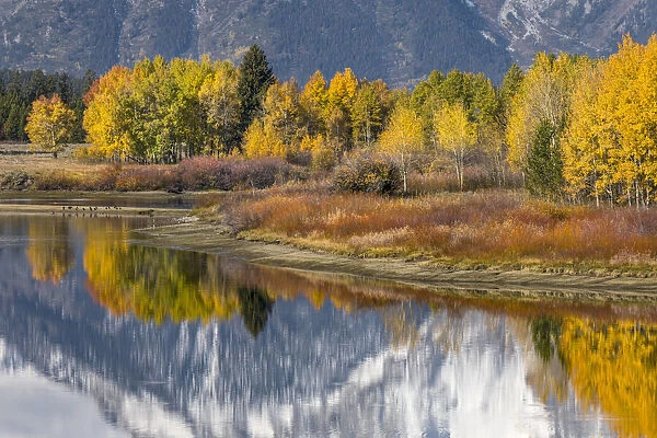 Autumn view of Mt. Morans reflection, Oxbow Bend, Grand Teton National Park, Wyoming