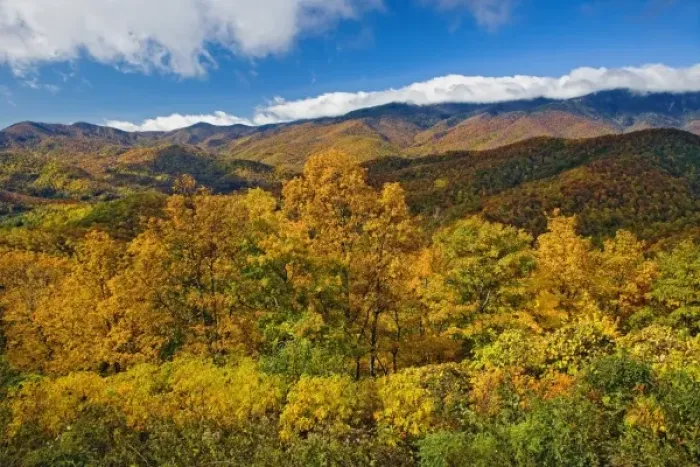 Framed Print : Autumn view of Southern Appalachian Mountains from Blue Ridge Parkway, near Grandfather Mountain Framed Print : Autumn view of Southern Appalachian Mountains from Blue Ridge Parkway, near Grandfather Mountain