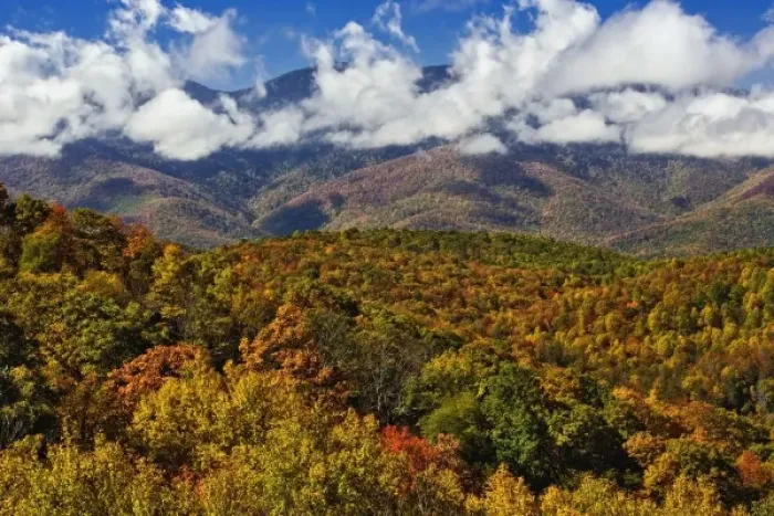 Framed Print : Autumn view of Southern Appalachian Mountains from Blue Ridge Parkway, near Grandfather Mountain Framed Print : Autumn view of Southern Appalachian Mountains from Blue Ridge Parkway, near Grandfather Mountain