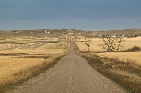 02. Canada, Alberta, Rosebud: Autumn  /  Wheat Field Road