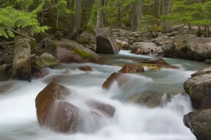 Framed Print : Avalanche Creek in Glacier National Park in Montana