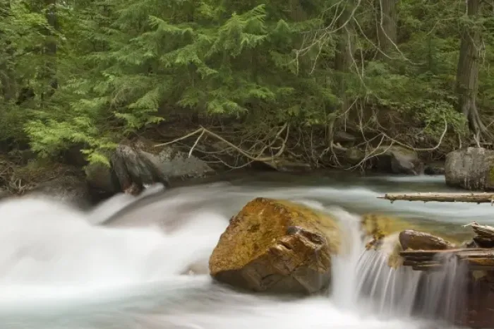 Framed Print : Avalanche Creek in Glacier National Park in Montana