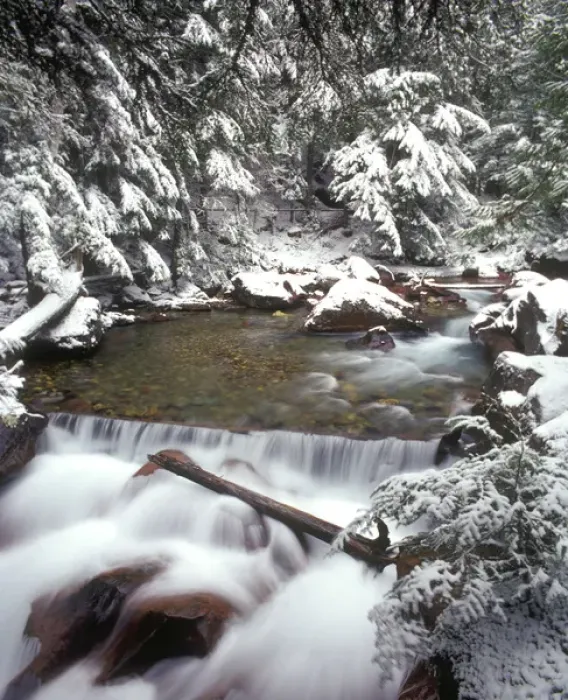 Framed Print : Avalanche Creek in Glacier National Park Montana after a snowfall Framed Print : Avalanche Creek in Glacier National Park Montana after a snowfall