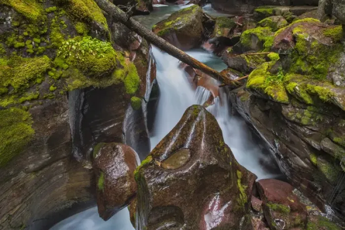 Framed Print : Avalanche Creek Gorge in Glacier National Park, Montana, USA