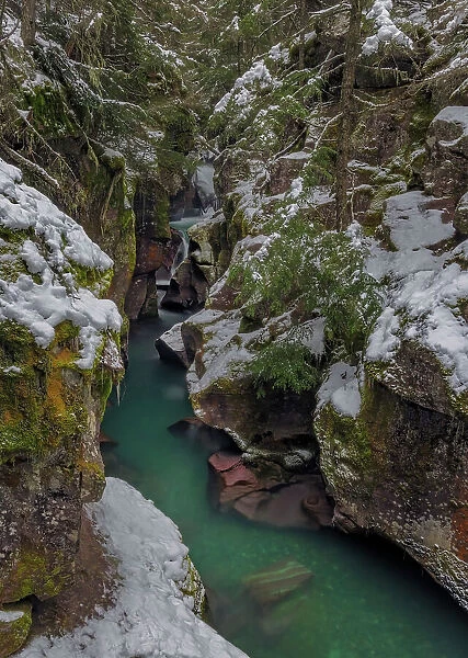 Avalanche Creek Gorge in winter in Glacier National Park, Montana, USA