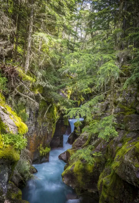 Framed Print : Avalanche Creek, Landscape, Flume, stream Framed Print : Avalanche Creek, Landscape, Flume, stream