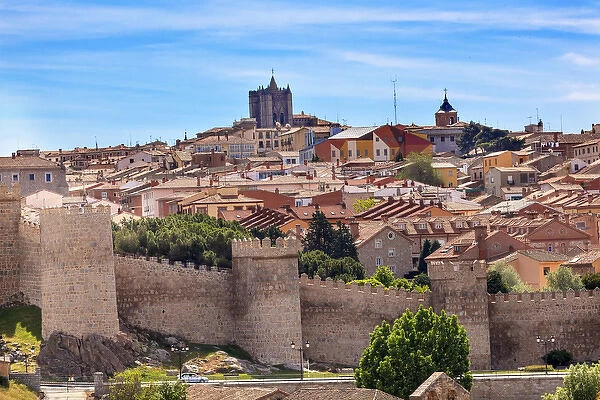 Avila Ancient Medieval City Walls Castle Swallows Castile Spain