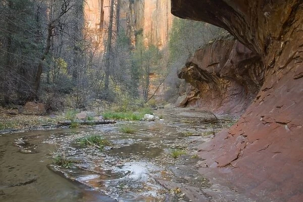 AZ, Arizona, Oak Creek Canyon, Coconino National Forest, West Fork of Oak Creek in Fall