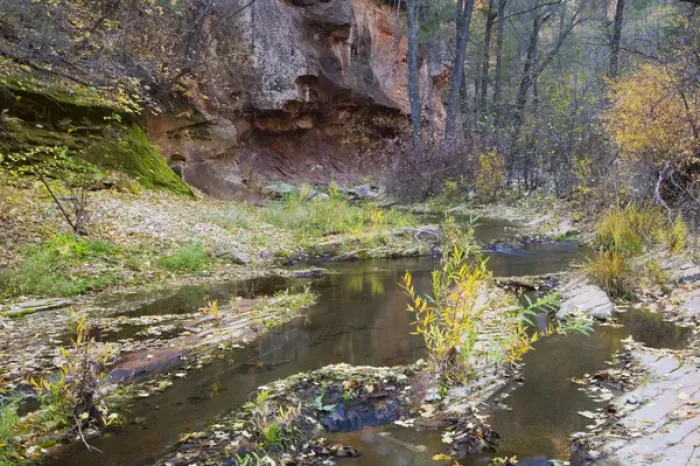 Framed Print : AZ, Arizona, Oak Creek Canyon, Coconino National Forest, West Fork of Oak Creek in Fall