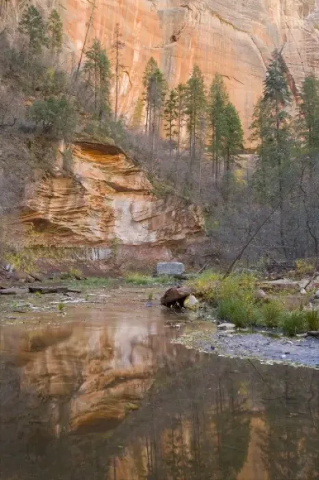 Framed Print : AZ, Arizona, Oak Creek Canyon, Coconino National Forest, West Fork of Oak Creek in Fall
