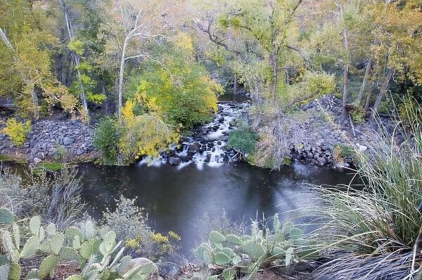 AZ, Arizona, Oak Creek Canyon, Grasshopper Point, Oak Creek and trees with fall color