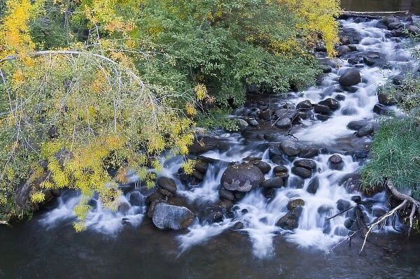AZ, Arizona, Oak Creek Canyon, Grasshopper Point, Oak Creek and trees with fall color