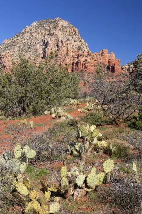 Framed Print : AZ, Sedona, Red Rock Country, Thunder Mountain