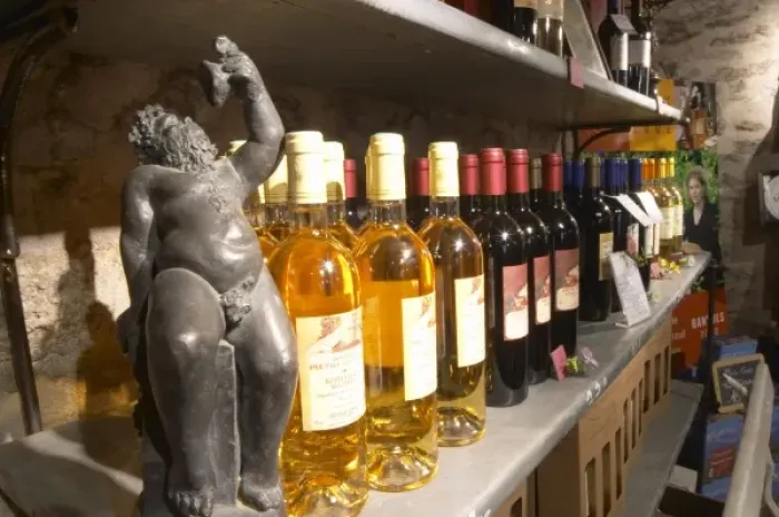 Framed Print : Bacchus. Domaine Pietri-Geraud Roussillon. The wine shop and tasting room. France