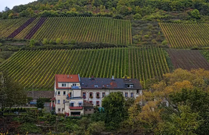 Framed Print : Bacharach Germany wine country village Fall beautiful scenic vineyards on mountain Framed Print : Bacharach Germany wine country village Fall beautiful scenic vineyards on mountain