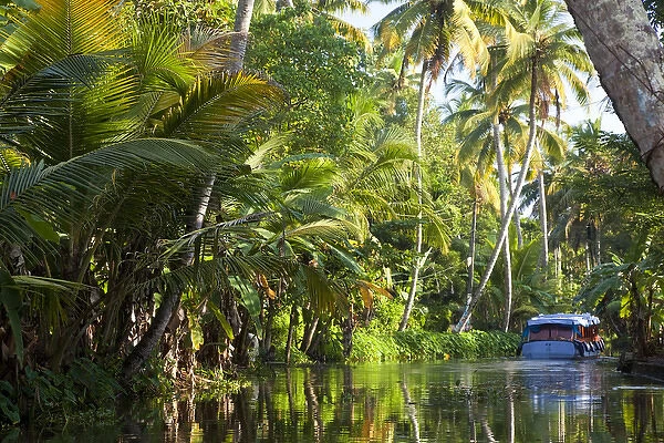 Backwaters, Alappuzha or Alleppey, Kerala, India