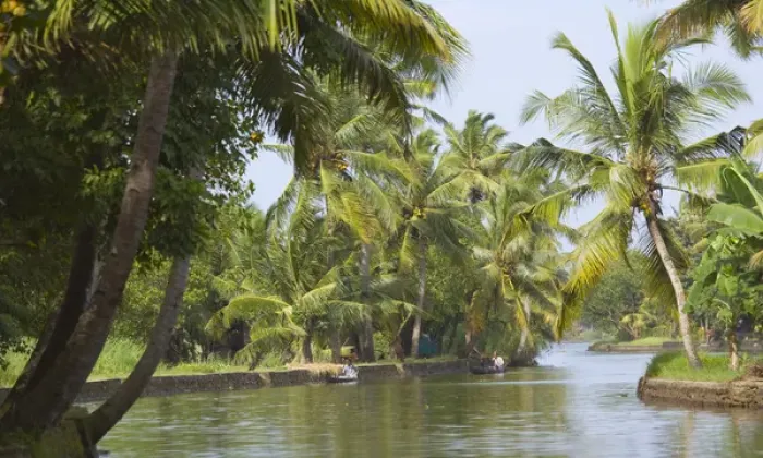 Framed Print : Backwaters of Kerala, India