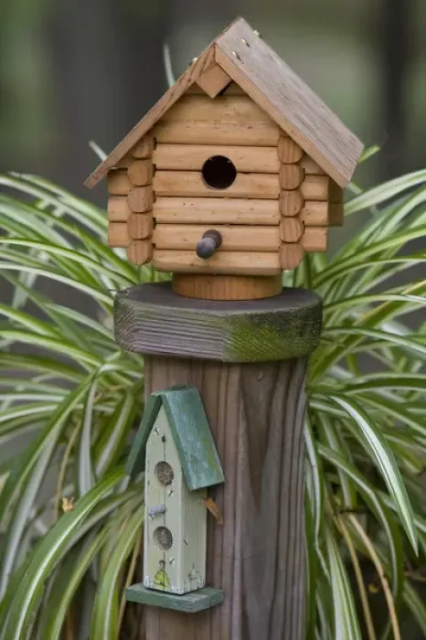 Framed Print : Backyard birdhouse Framed Print : Backyard birdhouse