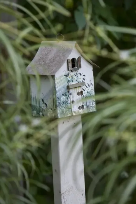 Framed Print : Backyard birdhouse