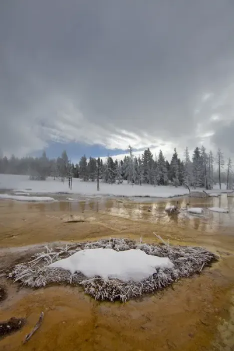 Framed Print : Bacteria Mat in the Lower Geyser Basin in winter in Yellowstone National Park Framed Print : Bacteria Mat in the Lower Geyser Basin in winter in Yellowstone National Park
