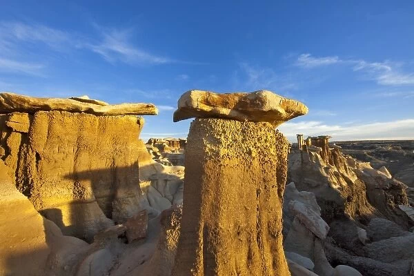 Badlands formations in the Bisti Wilderness in San Juan County, New Mexico, USA