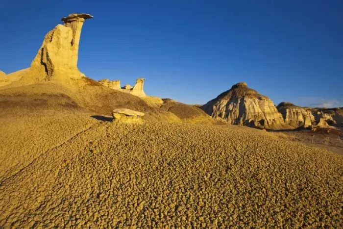 Framed Print : Badlands formations in the Bisti Wilderness in San Juan County, New Mexico, USA Framed Print : Badlands formations in the Bisti Wilderness in San Juan County, New Mexico, USA