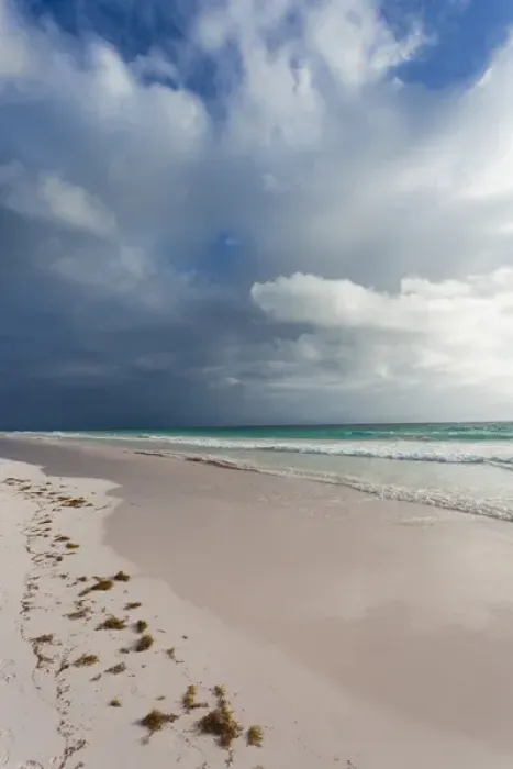 Framed Print : Bahamas, Eleuthera Island, Harbour Island, Pink Sands Beach, morning Framed Print : Bahamas, Eleuthera Island, Harbour Island, Pink Sands Beach, morning