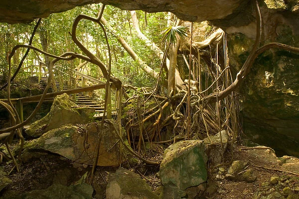 BAHAMAS-Grand Bahama Island-Eastern Side: Lucayan National Park- Sea Cave Interior