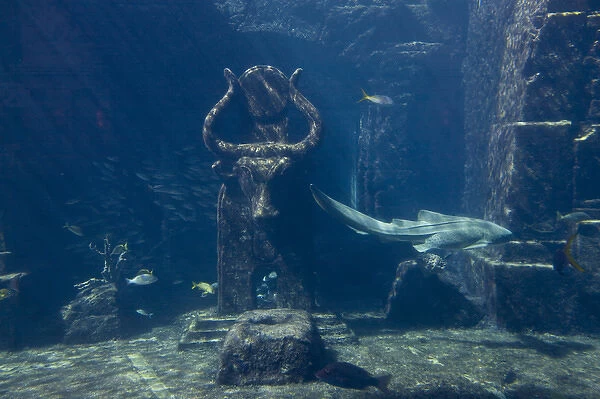 Bahamas, Paradise Island, Nassau, Aquarium inside Atlantis Resort