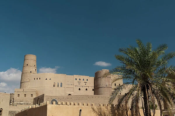 The Bahla fort, built in 13th century, and a palm tree. Bahla, Oman