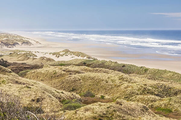 Baker Beach, Oregon, USA. Grassy dunes and a sandy beach on the Oregon coast