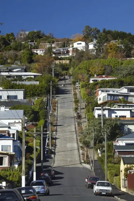 Framed Print : Baldwin Street ( worlds steepest street ), Dunedin, South Island, New Zealand Framed Print : Baldwin Street ( worlds steepest street ), Dunedin, South Island, New Zealand