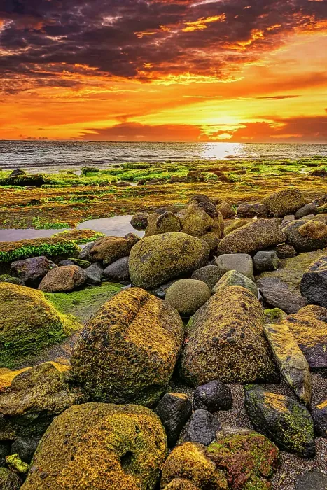 Framed Print : Bali sunset