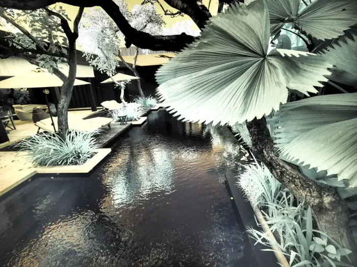 Framed Print : Bali, Ubud. Ponds and pools at hotel in Ubud