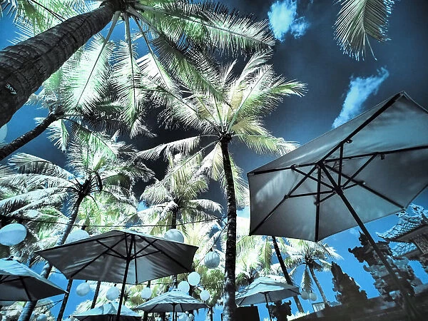 Bali, Ubud. Umbrellas, Ponds and pools at hotel in Ubud