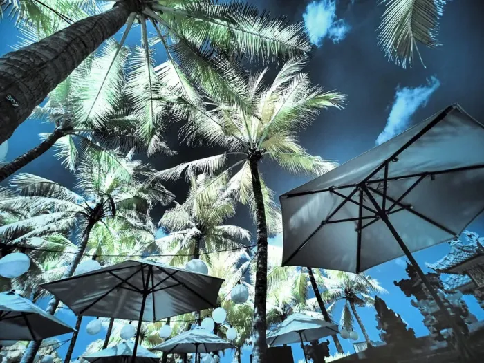 Framed Print : Bali, Ubud. Umbrellas, Ponds and pools at hotel in Ubud Framed Print : Bali, Ubud. Umbrellas, Ponds and pools at hotel in Ubud
