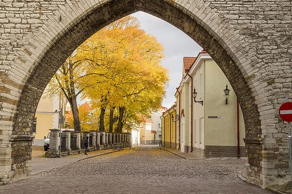 Baltic States, Estonia, Tallinn. Tallinn Old Town, arched entryway
