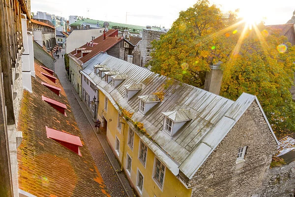 Baltic States, Estonia, Tallinn. City walls of Tallinn Old Town