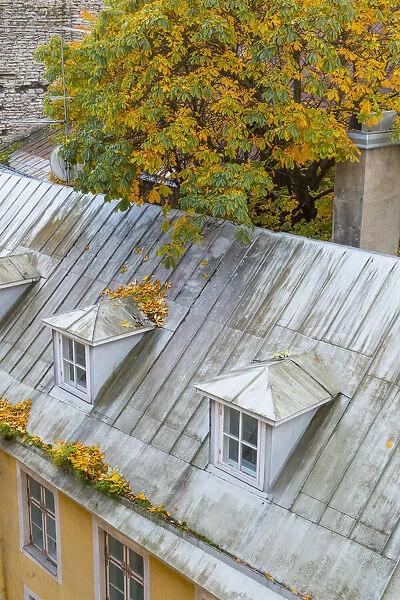 Baltic States, Estonia, Tallinn. Rooftops near city walls