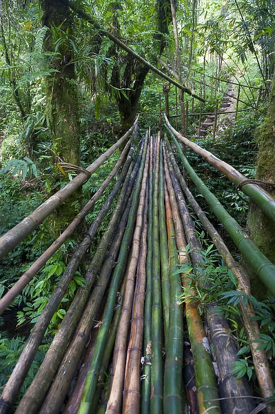 Bamboo bridge in the interior leading to millenium cave, Island of Espiritu Santo