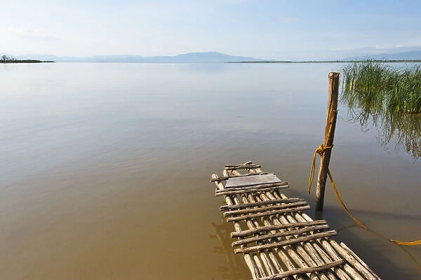 Bamboo raft on Lake Shalla, Abijatta-Shalla Lakes National Park, Ethiopia