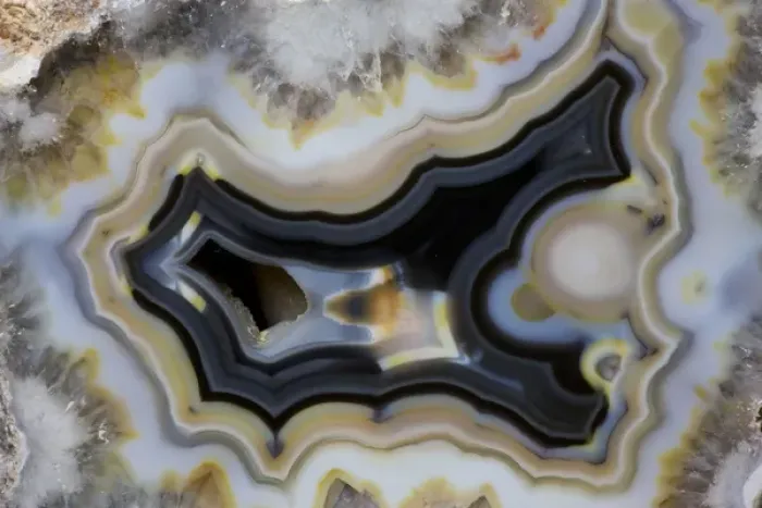 Framed Print : Banded Agate, Quartzsite, AZ Framed Print : Banded Agate, Quartzsite, AZ