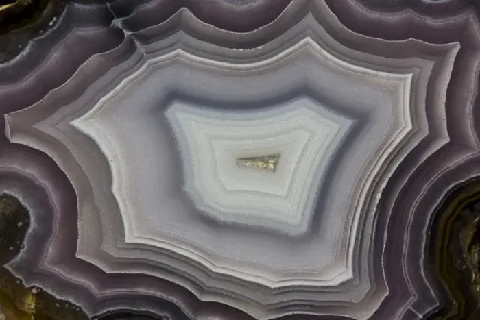 Framed Print : Banded Agate, Quartzsite, AZ Framed Print : Banded Agate, Quartzsite, AZ