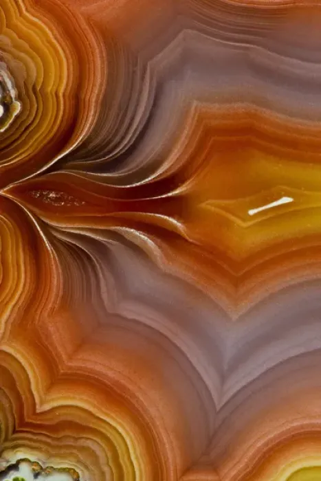 Framed Print : Banded Agate, Quartzsite, AZ Framed Print : Banded Agate, Quartzsite, AZ