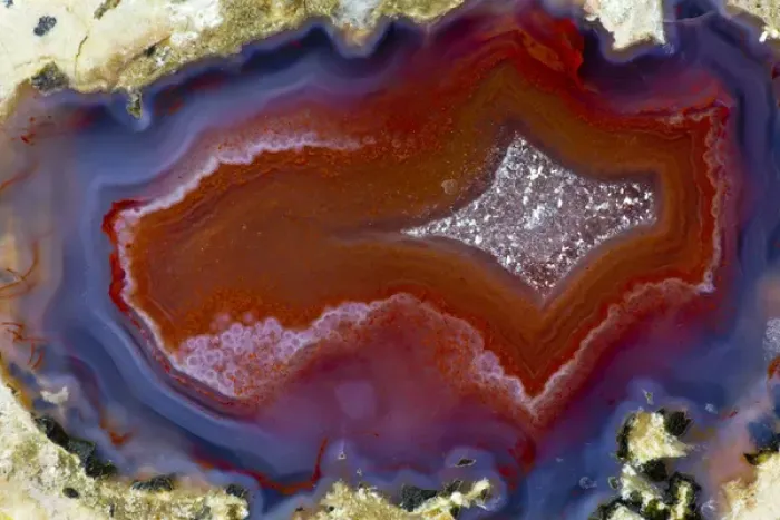Framed Print : Banded Agate Sammamish Washington Framed Print : Banded Agate Sammamish Washington
