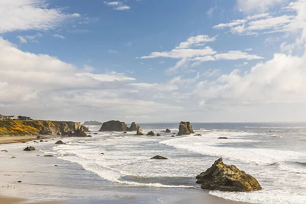 Bandon, Oregon, USA. Sea stacks and surf on Bandon Beach on the Oregon coast